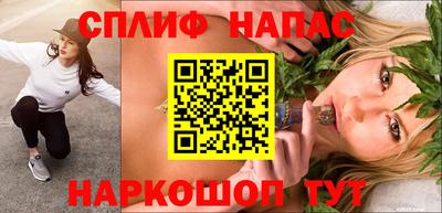 крисы Бийск