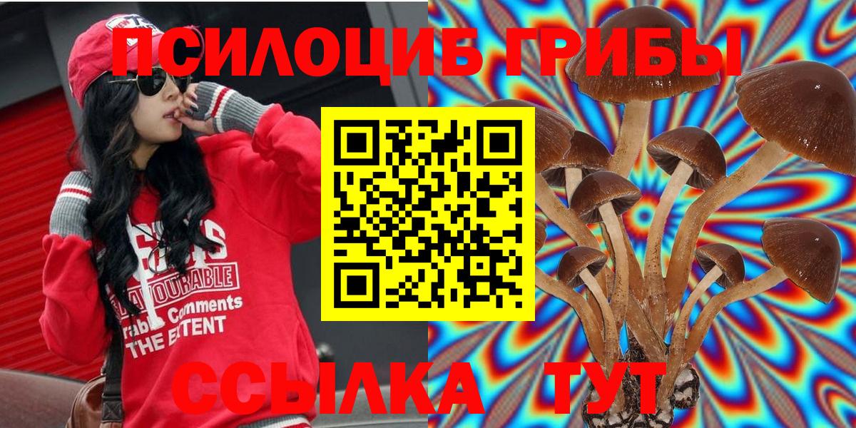 Галлюциногенные грибы Psilocybine cubensis Всеволожск