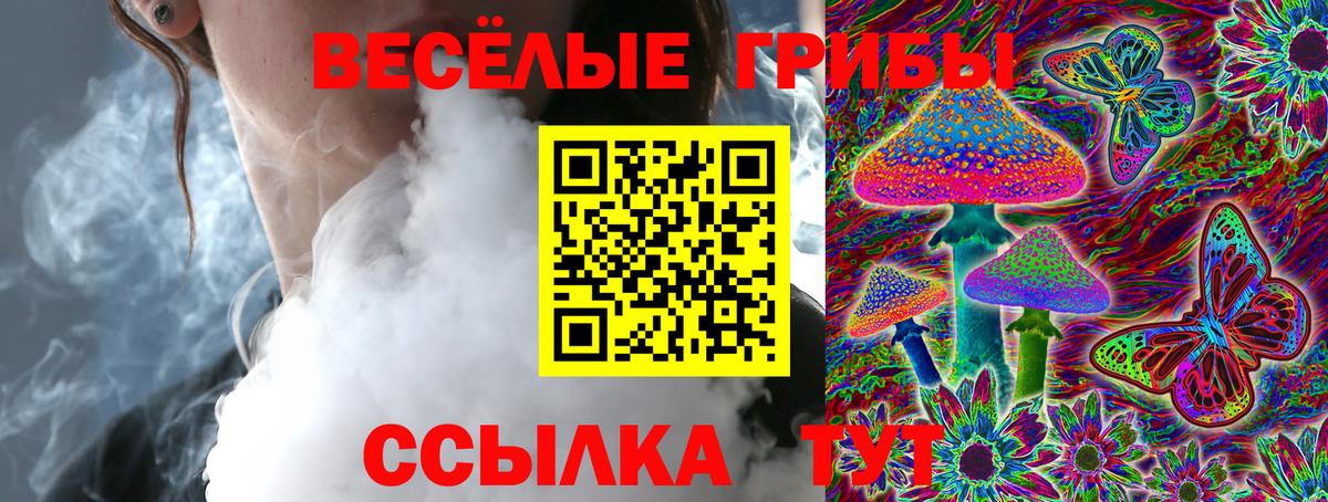 купить наркоту  Галлюциногенные грибы Psilocybine cubensis  Вход с VPN  Всеволожск 