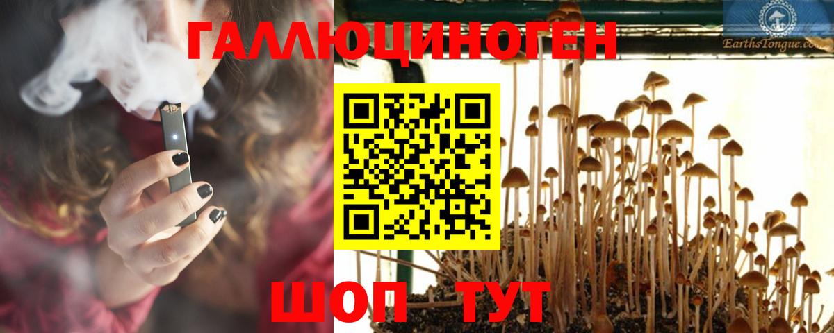 Псилоцибиновые грибы Psilocybe  Всеволожск 